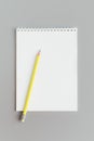 Notebook with blank page and yellow pensil on a grey background. Colors of the Year 2021