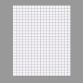 Notebook blank paper background. A sheet of in the cage. Isolated. Vector