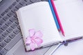 Notebook for business, pink and blue pencils and laptop computer keys Royalty Free Stock Photo