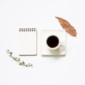 Notebook, cup of coffee with leaves on white background Royalty Free Stock Photo