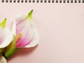 Notebook diary and beautiful artificial calla flower bouquet background Royalty Free Stock Photo