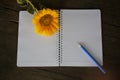 Notebook with flower and pen on wooden table. Open book blank page for copy space of text or design Royalty Free Stock Photo