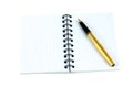 Notebook and golden fountain pen Royalty Free Stock Photo