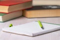 Notebook with a green fountain pen on the background of books and a table Royalty Free Stock Photo