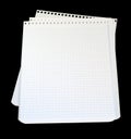 Notebook leaf Royalty Free Stock Photo
