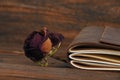 Notebook in leather cover and dried rose on wood Royalty Free Stock Photo