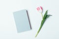 Notebook next to fresh tulip flower on white background Royalty Free Stock Photo