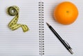 Notebook with pen and orange fruit Royalty Free Stock Photo