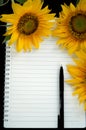 Notebook with pen and sunflowers. Blank page of spiral notebook with yellow flowers decoration background. Portrait or vertical