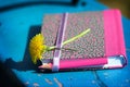 Notebook,pencil and flower Royalty Free Stock Photo