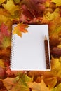 The notebook, pencil and orange yellow and red maple leafs Royalty Free Stock Photo