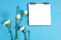 A notebook on the springs with a pink carnation on a blue background with an empty space for notes. Royalty Free Stock Photo