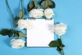 Notebook on the springs with a white rose on a blue background with an empty space for notes. Royalty Free Stock Photo