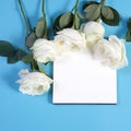 Notebook on the springs with a white rose on a blue background with an empty space for notes. Royalty Free Stock Photo