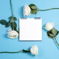 Notebook on the springs with a white rose on a blue background with an empty space for notes. Royalty Free Stock Photo