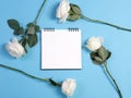 Notebook on the springs with a white rose on a blue background with an empty space for notes. Royalty Free Stock Photo