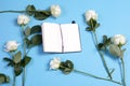 A notebook on the springs with a white rose on a blue background with an empty space for notes. Royalty Free Stock Photo