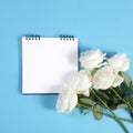Notebook on the springs with a white rose on a blue background with an empty space for notes. Royalty Free Stock Photo