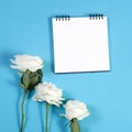 Notebook on the springs with a white rose on a blue background with an empty space for notes. Royalty Free Stock Photo