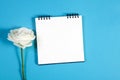 Notebook on the springs with a white rose on a blue background with an empty space for notes. Royalty Free Stock Photo
