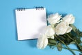 Notebook on the springs with a white rose on a blue background with an empty space for notes. Royalty Free Stock Photo