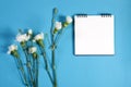 Notebook on the springs with a white rose on a blue background with an empty space for notes. Royalty Free Stock Photo