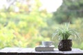 notebook and white coffee cup with plant in small wooden pot on wooden table at outside