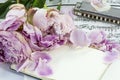 Notebook with withered peonies and harmonica Royalty Free Stock Photo