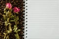 Notebook and wizened rose Royalty Free Stock Photo