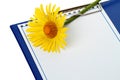Notebook and yellow daisy Royalty Free Stock Photo