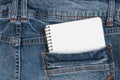 Notebooks in jeans pocket Royalty Free Stock Photo