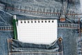 Notebooks and pen in pocket Royalty Free Stock Photo