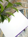 Notepad on an acient wall with a plant