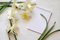Notepad, daffodils on a white background. Inspirational workplace.