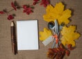 Notepad, Large pencil, spoon, fork, knife, linen napkin, autumn leaves on a textile background. Free space for your text. Royalty Free Stock Photo