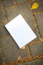 Notepad and leaves on the square pavement tiles Royalty Free Stock Photo