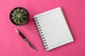 Notepad, pen and cactus on pink background Royalty Free Stock Photo