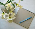 Notepad with pen, daffodils in a vase on a white table. Inspirational workplace.