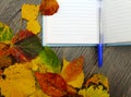 Notepad with pen on a table with fallen leaves.