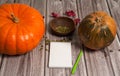 Notepad, pen, two pumpkins, pumpkin seeds, autumn leaves on a wooden background. Royalty Free Stock Photo