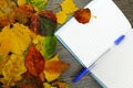 Notepad with pen on a table with fallen leaves.