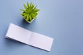 Notepad with and potted plant on blue background. Message and reminder concept.