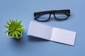 Notepad with reading glasses and potted plant. Directly above. Flat lay.