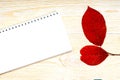 Notepad with red aspen leaves on white wooden planks Royalty Free Stock Photo