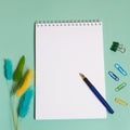 Notepad with spring, fountain pen, paper clips and dried lagurus flowers Royalty Free Stock Photo