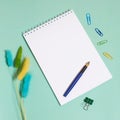 Notepad with spring, fountain pen, paper clips and dried lagurus flowers Royalty Free Stock Photo