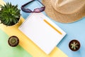 Notepad, two small green cactuses and big succulent, violet glasses and thatch hat on colored background. Flat lay. Royalty Free Stock Photo