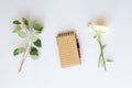 Notebook with sprigs of eucalyptus and ranunculus.