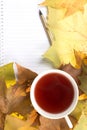 Notepad on yellow leaf Royalty Free Stock Photo