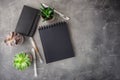 Notepads and potted succulents Royalty Free Stock Photo